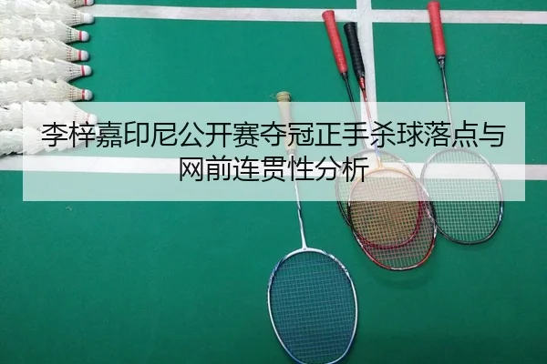 li-zi-jia-yin-ni-gong-kai-sai-duo-guan-zheng-shou-sha-qiu-luo-dian-yu-wang-qian-lian-guan-xing-fen-xi-2-792.jpg