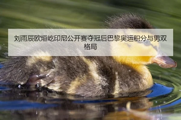 刘雨辰欧烜屹印尼公开赛夺冠后巴黎奥运积分与男双格局